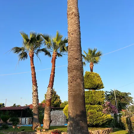 Palm Nest With Private Pool In Chalkidiki