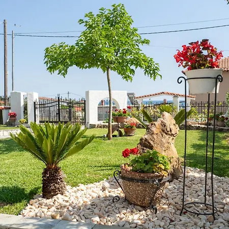 Palm Nest With Private Pool In Chalkidiki