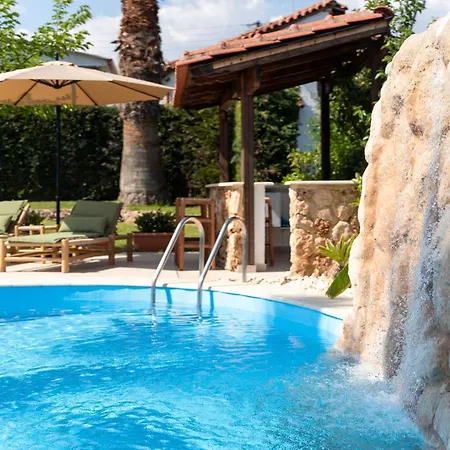 Palm Nest With Private Pool In Chalkidiki Holiday home *