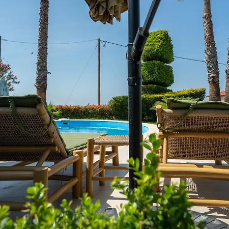 Holiday home Palm Nest With Private Pool In Chalkidiki *