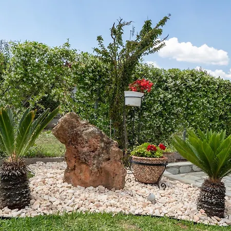 Palm Nest With Private Pool In Chalkidiki Holiday home *