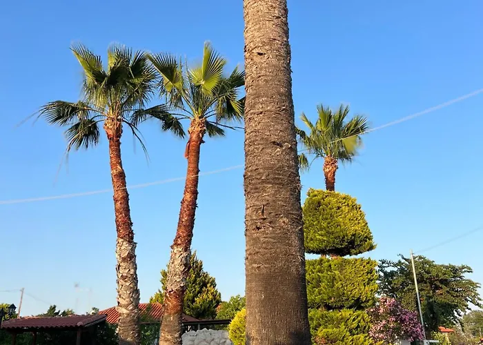 Palm Nest With Private Pool In Chalkidiki