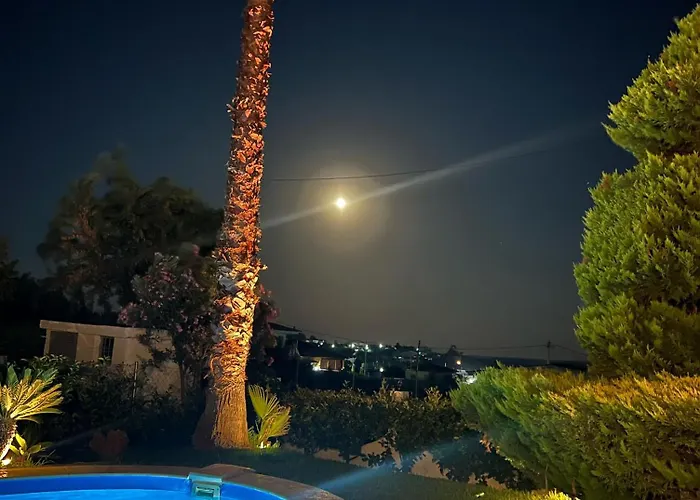 Palm Nest With Private Pool In Chalkidiki