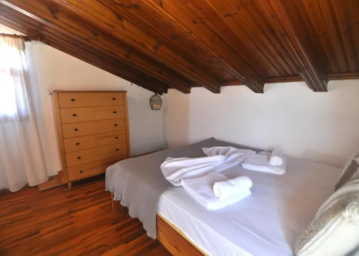 Palm Nest With Private Pool In Chalkidiki Vergia