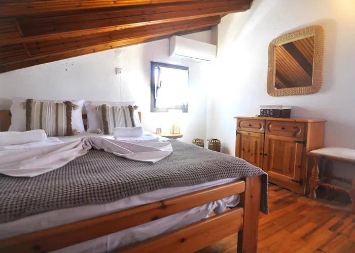 Palm Nest With Private Pool In Chalkidiki Vergia